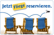 sommerfliegen Bild: Condor