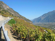 piemont