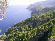 © zora120875/ Pixelio