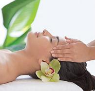 wellness