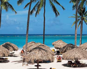 domrep