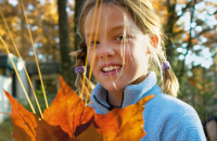 herbst