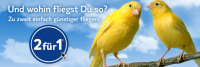 tui