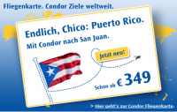 condor