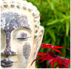 thai
