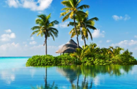 travel