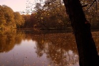 © Günter Hommes  / pixelio.de