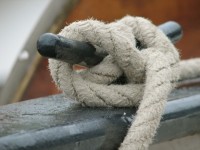 © RainerSturm  / pixelio.de