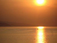 © gabriele Planthaber  / pixelio.de