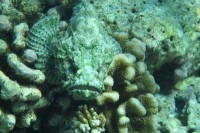 © Margit Völtz  / pixelio.de