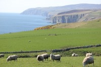 © Julian Nitzsche / pixelio.de