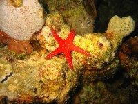 © Niki Vogt  / pixelio.de